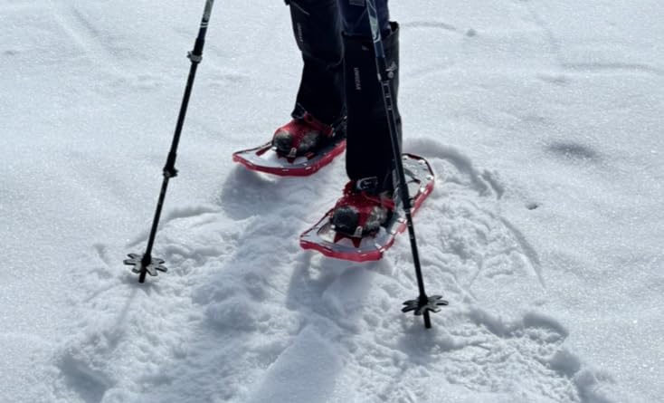 MSR Women's Lightning Ascent Backcountry Snowshoes customer photo 1