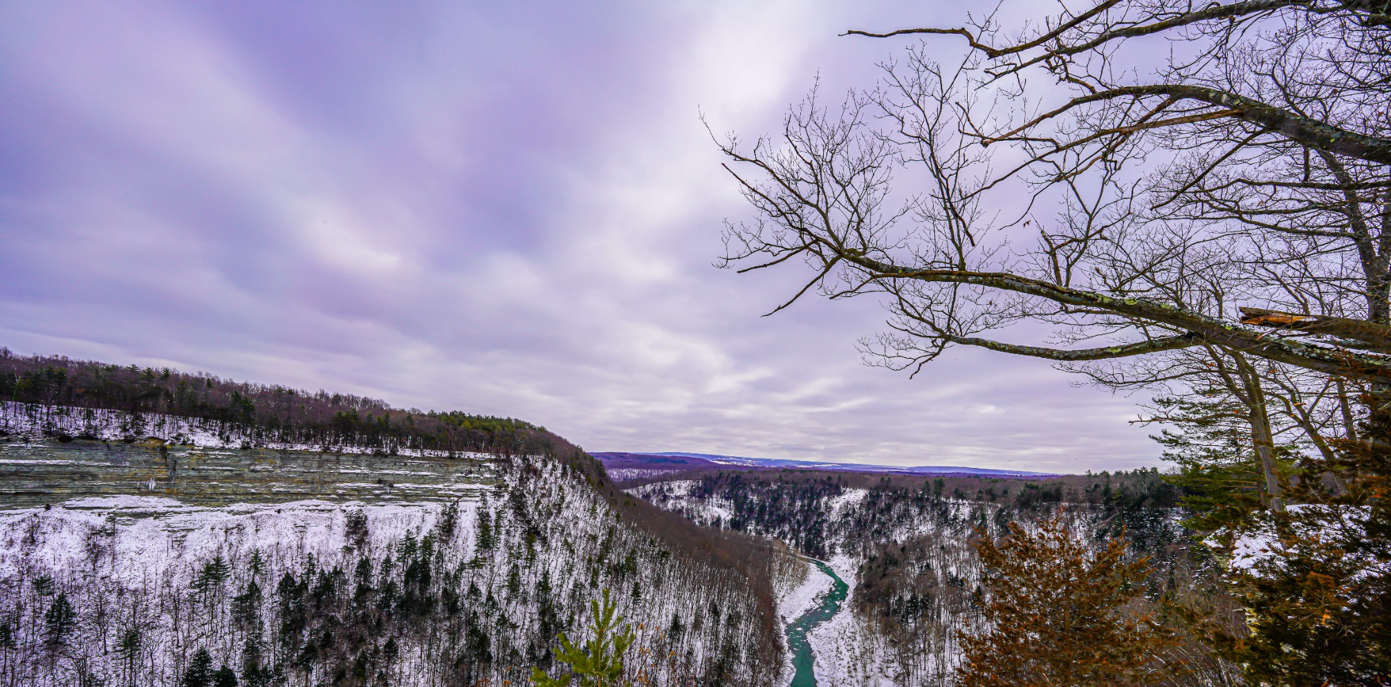 Sony FE 12-24mm F2.8 GM Full-Frame Constant-Aperture Ultra-Wide Zoom Lens (SEL1224GM) customer photo 1