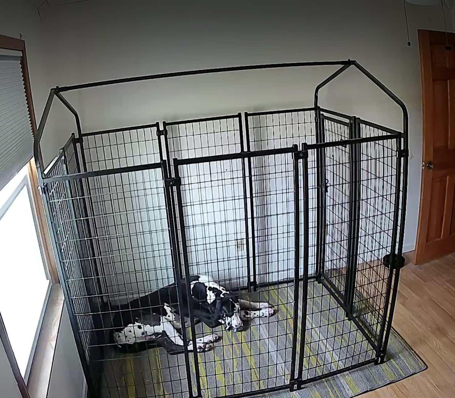 PawHut Outdoor Dog Kennel with Roof, 6' x 4' x 6' Heavy Duty Welded Wire Dog Playpen Enclosure with Escape-Proof Lock, UV-Resistant & Waterproof Cover customer photo 2