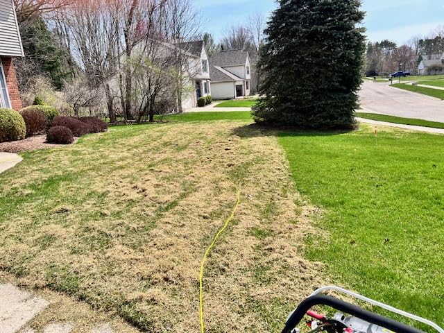 Sun Joe 15-Inch Electric Powered Lawn Dethatcher with Scarifier Blade Reel and Collection Bag - 13-Amp Corded Yard Power Rake Tool Machine for Grass Thatch Removal, AJ805E customer photo 1