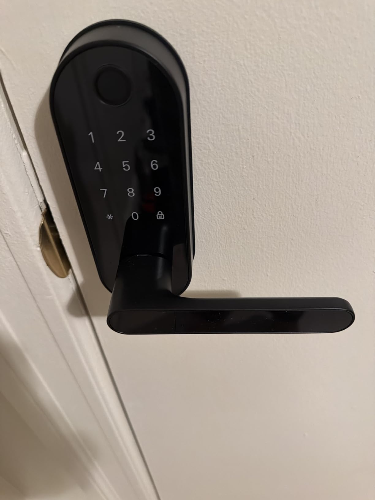Fingerprint Smart Door Lock with Handle & Keypad - Bluetooth Keyless Entry for Front Door, Home, Kids, Guests, Airbnb & Rental, App + Code Access, Compatible with Alexa & Google, Easy DIY Install customer photo 1