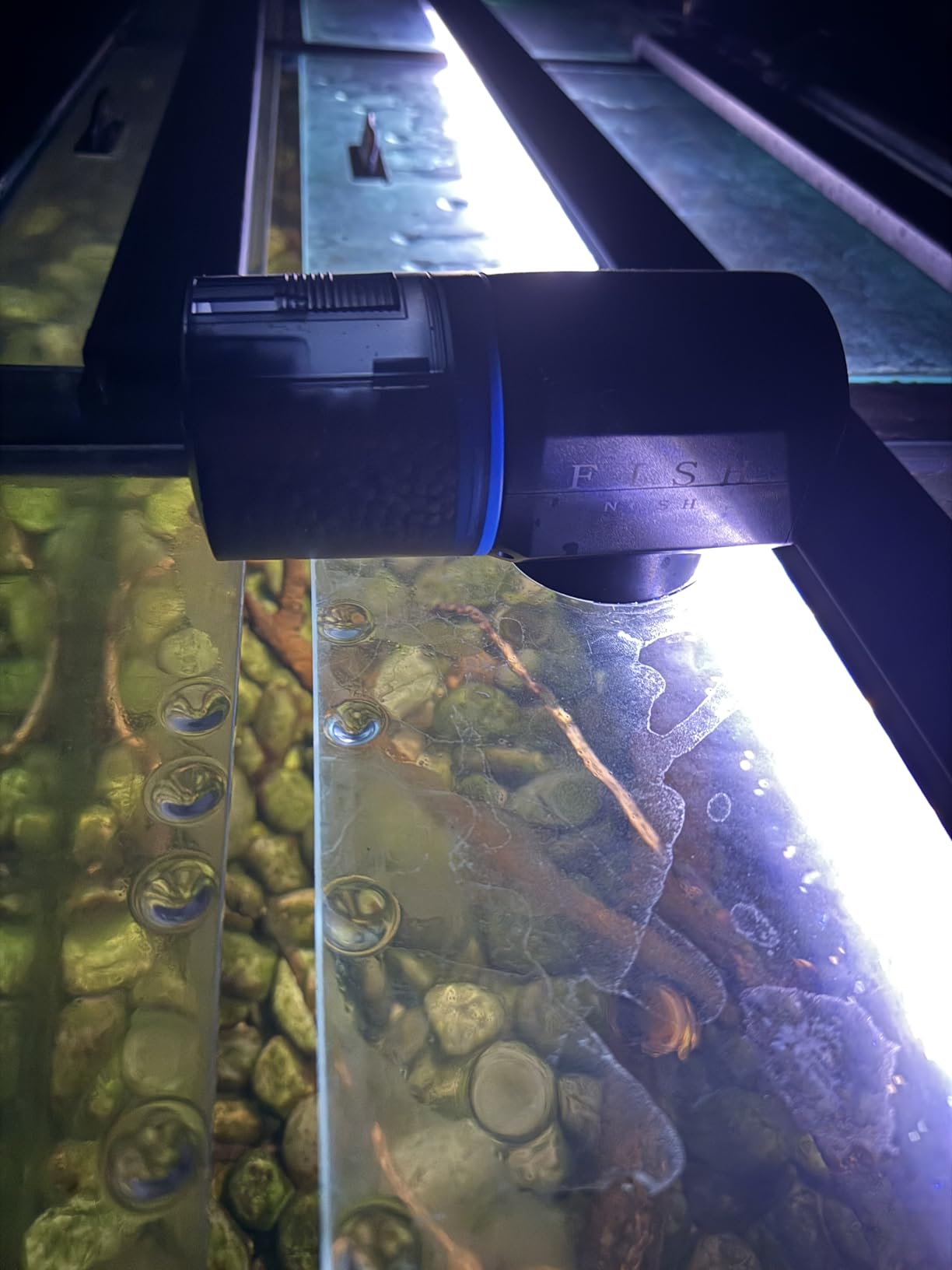 FISHNOSH Automatic Fish Feeder for Aquarium - New Generation 2026, Auto Food Dispenser with Timer for Small Tank, Big Aquariums & Pond (Blue) customer photo 2