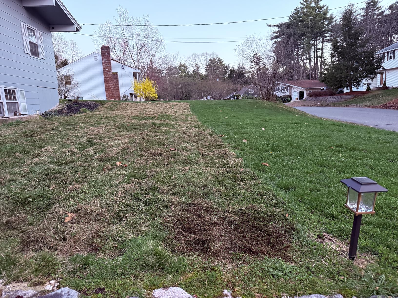 Greenworks 13 Amp 14-Inch Corded Dethatcher / Scarifier, DT13B00 customer photo 2