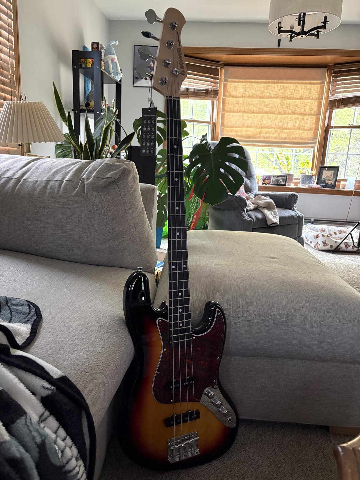 Donner Electric Bass Guitar 4 Strings Full-Size PJ-Style with Gig Bag, Strap, Cable customer photo 1