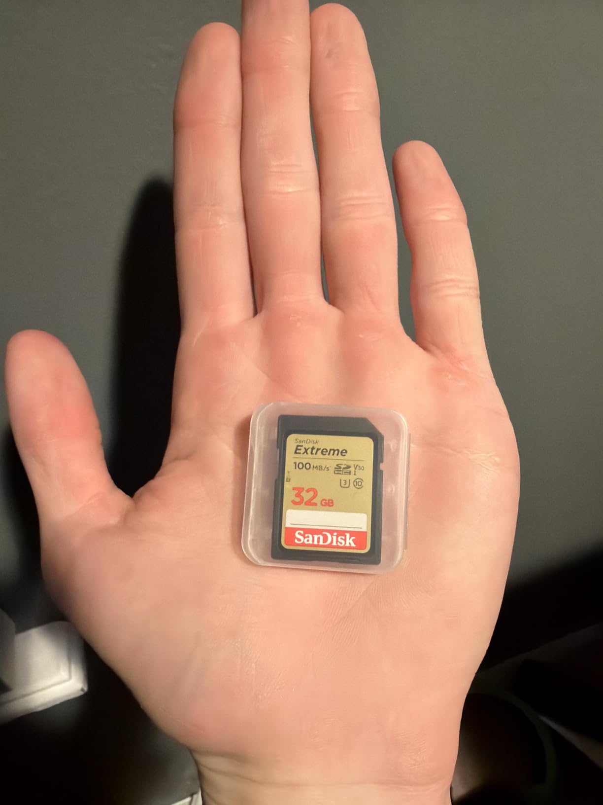 SanDisk 256GB Extreme SDXC UHS-I Memory Card - C10, U3, V30, 4K, UHD, SD Card - SDSDXVV-256G-GNCIN customer photo 1
