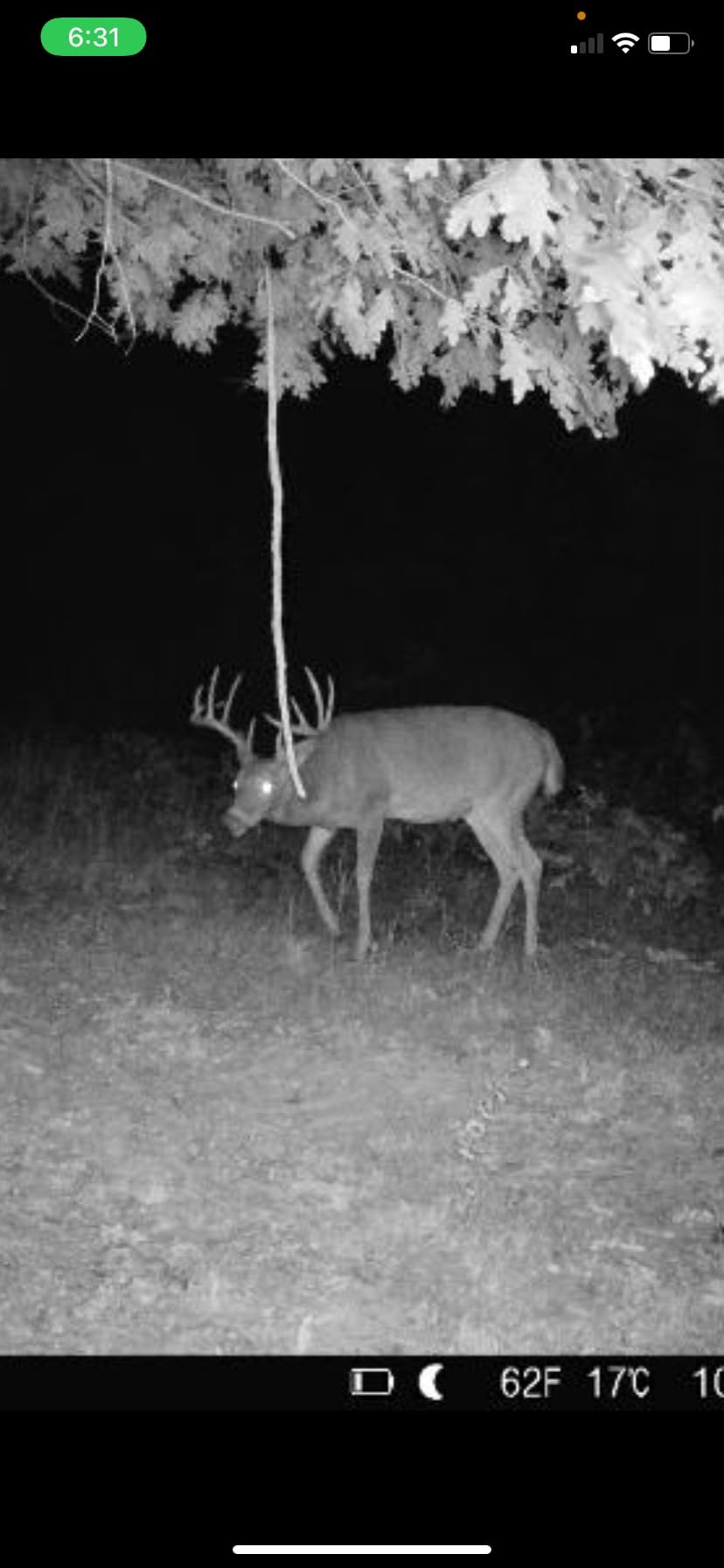 TACTACAM Reveal X PRO Cellular Trail Camera, Verizon and AT&T, NO Glow, Integrated GPS Tracking, Built in LCD Screen, HD Photo and HD Video (X-PRO) customer photo 1