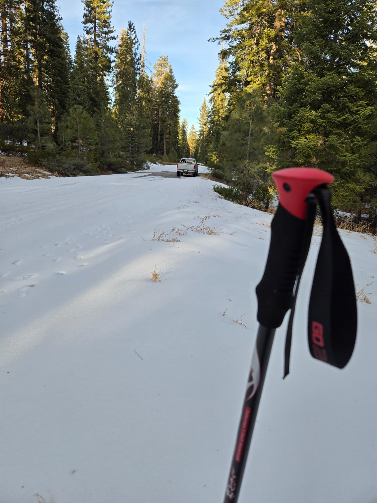 G2 21/25/30/36 Inches Light Weight Snowshoes with Toe Box, EVA Padded Ratchet Binding, Heel Lift, Flexible Pivot Bar, Durable Back Strap, Trekking Poles, Carrying Bag, Snow Baskets customer photo 2