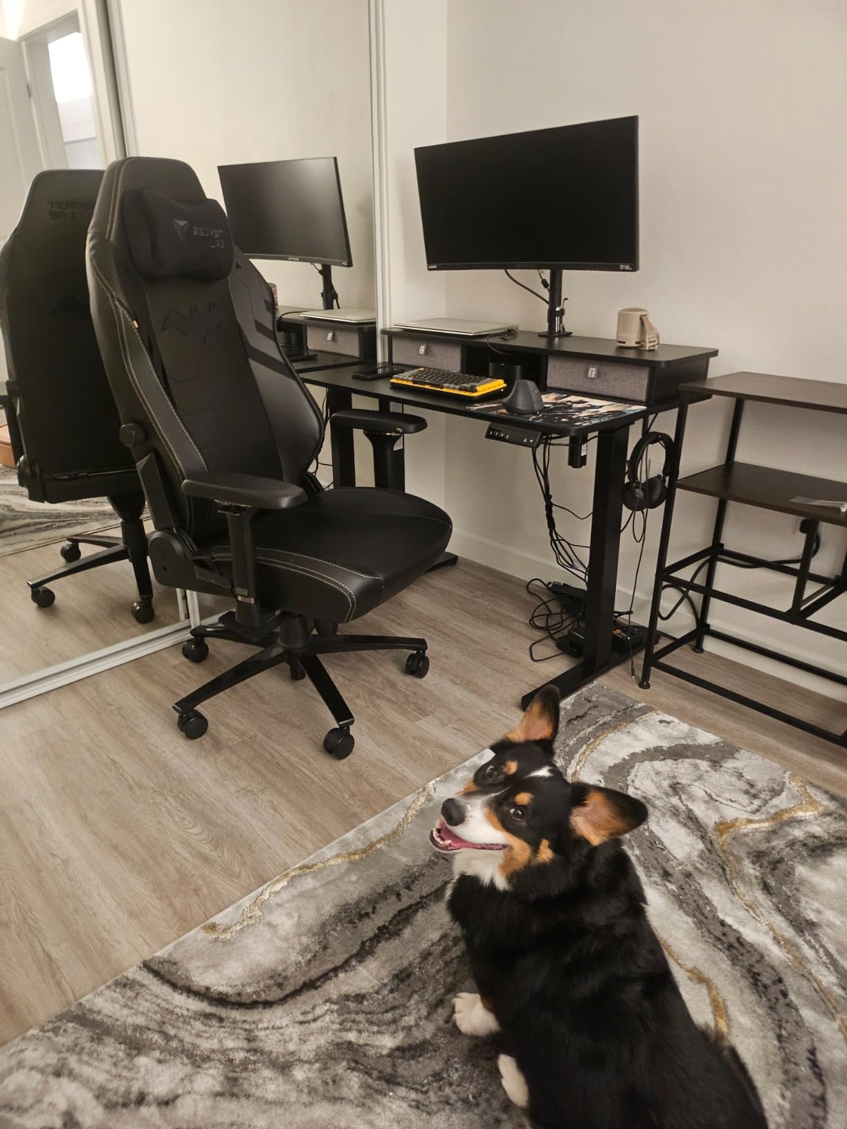 Secretlab Titan Evo Dark Knight Gaming Chair - Reclining, Ergonomic, Comfortable Computer Chair with 4D Armrests, Headrest & Lumbar Support - Small - Black - Leatherette customer photo 2