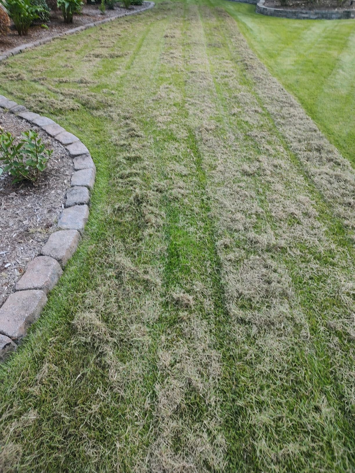WEN 15-Inch 13-Amp 2-in-1 Electric Dethatcher and Scarifier with 12-Gallon Collection Bag (DT1315) customer photo 2