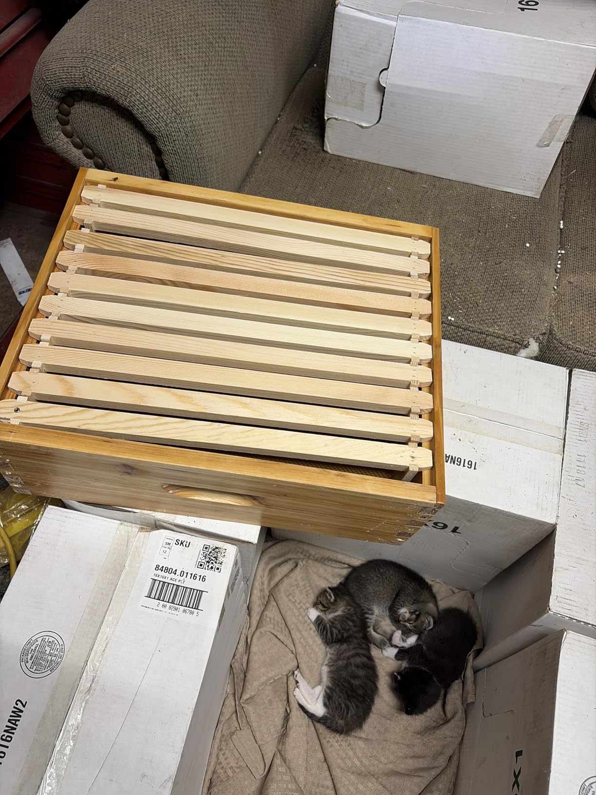 VINGLI 10 Frames Beehive, Complete Beehive Kit Includes 1 Deep Boxes, 1 Medium Box, Frames and Waxed Foundations, for Yard, Field, Bee Farm (2 Layer) customer photo 1