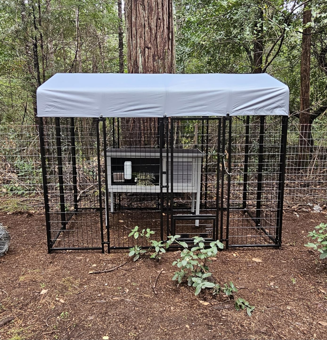 LEMBERI Large Outdoor Dog Kennel 8x4x6 FT, Escape-Proof Dog Run with Double-Latch Gate, Heat-Reflective Sunshade Cover & 2 Stainless Steel Bowls, Heavy Duty Galvanized Steel Dog Cage Enclosure customer photo 1