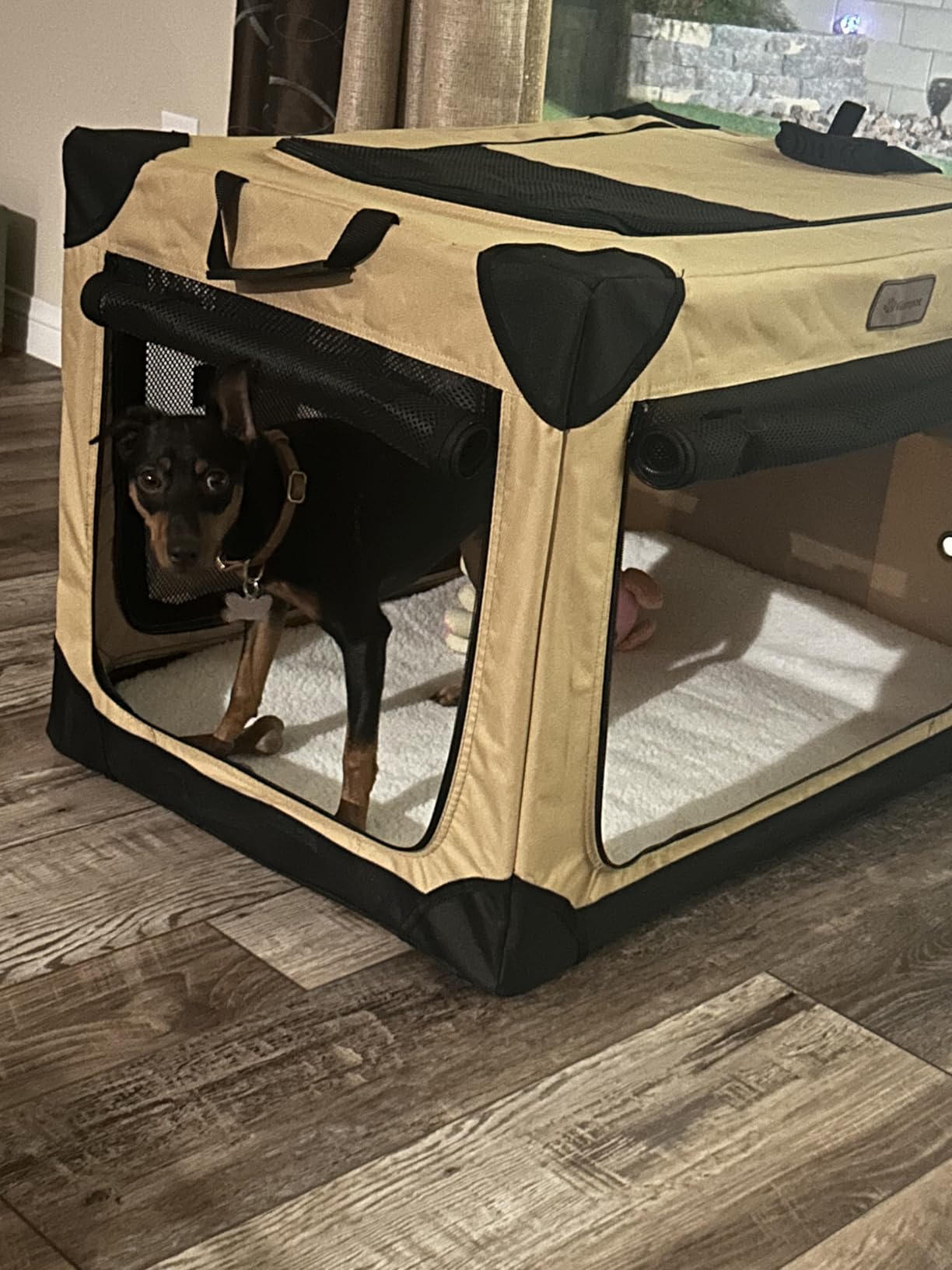 Garnpet 36 Inch Collapsible Soft Dog Crate for Large Dogs, 4-Door Foldable Travel Dog Kennel with Durable Mesh Windows for Indoor & Outdoor Portable Pet Crate, Soft Side Dog Crate, Beige customer photo 1