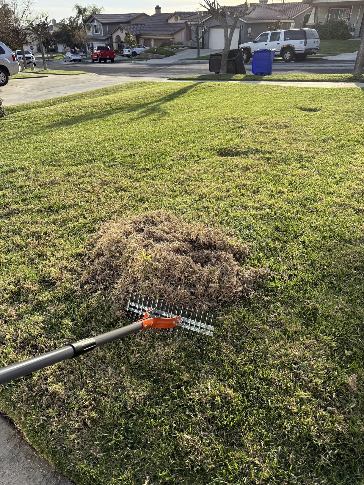 Walensee Thatch Rake, 15-Inch Lawn Thatching Rake, Robust Dethatcher Rake, Efficient Steel Metal Rake with Handle, Versatile Grass Grooming Rake for Cleaning Dead Grass, Yard Garden Durable Soil Rake customer photo 1