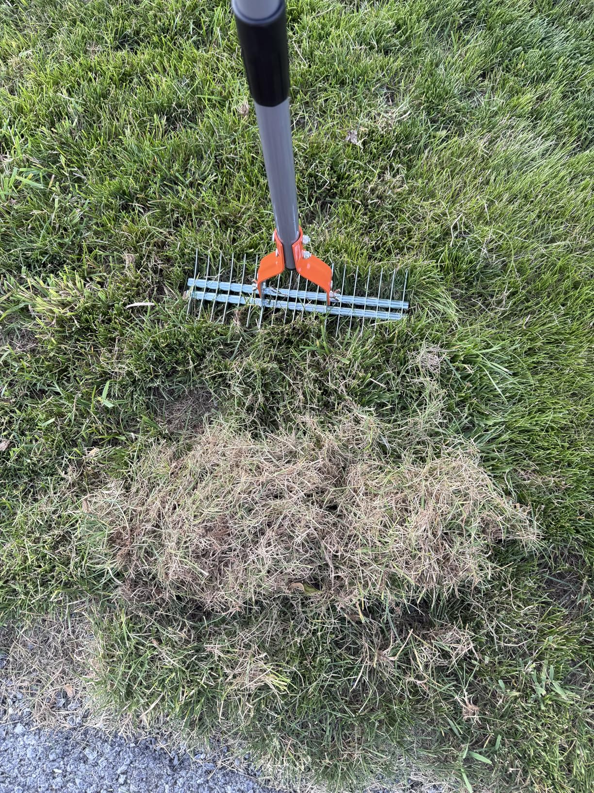 Walensee Thatch Rake, 15-Inch Lawn Thatching Rake, Robust Dethatcher Rake, Efficient Steel Metal Rake with Handle, Versatile Grass Grooming Rake for Cleaning Dead Grass, Yard Garden Durable Soil Rake customer photo 2