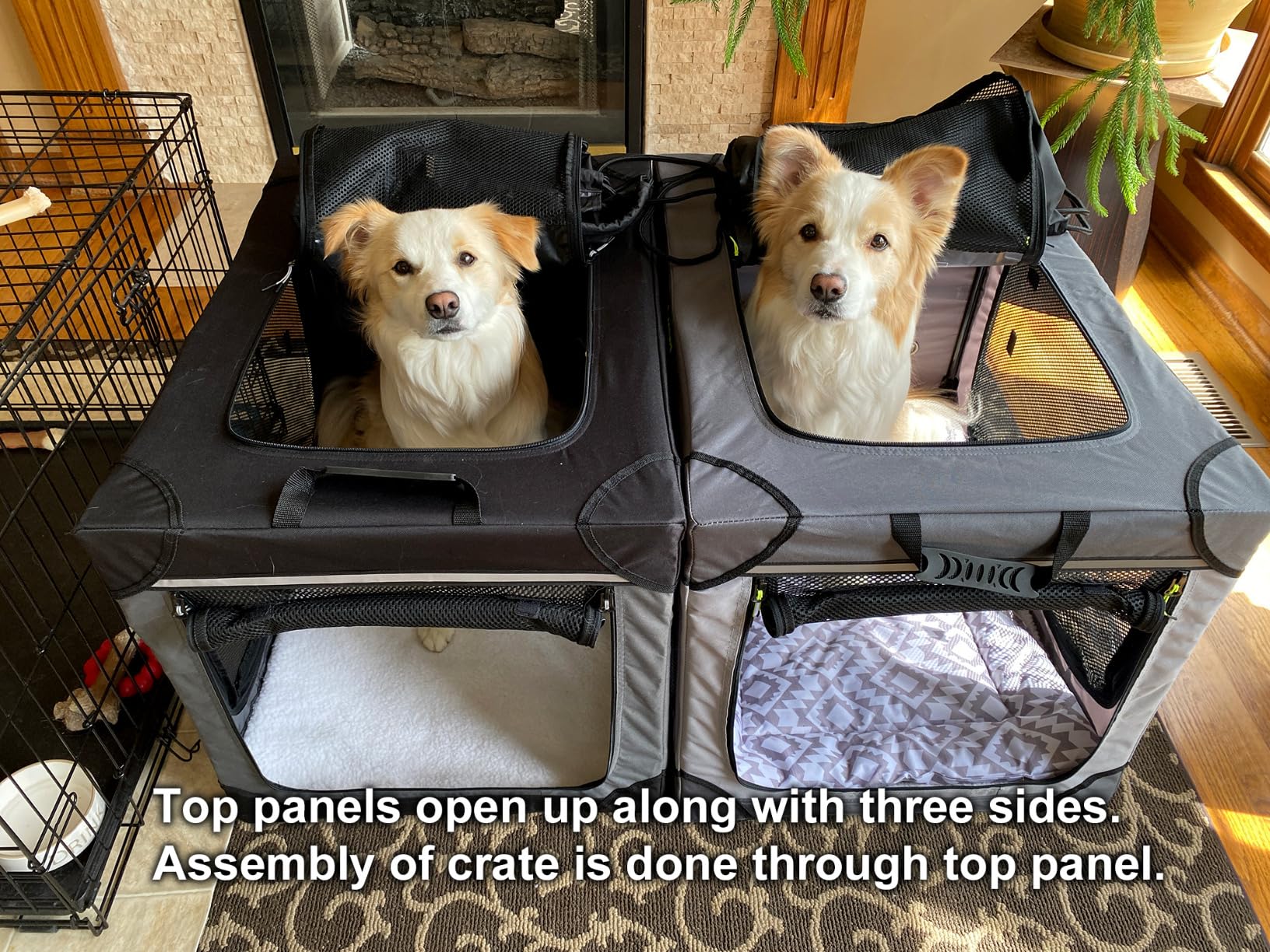 Lesure Shown on TODAY Show Soft Collapsible Dog Crate - 42 Inch Portable Travel Crate for Extra Large Dogs Indoor & Outdoor, 4-Door Foldable Pet Kennel with Mesh Windows, Black customer photo 1