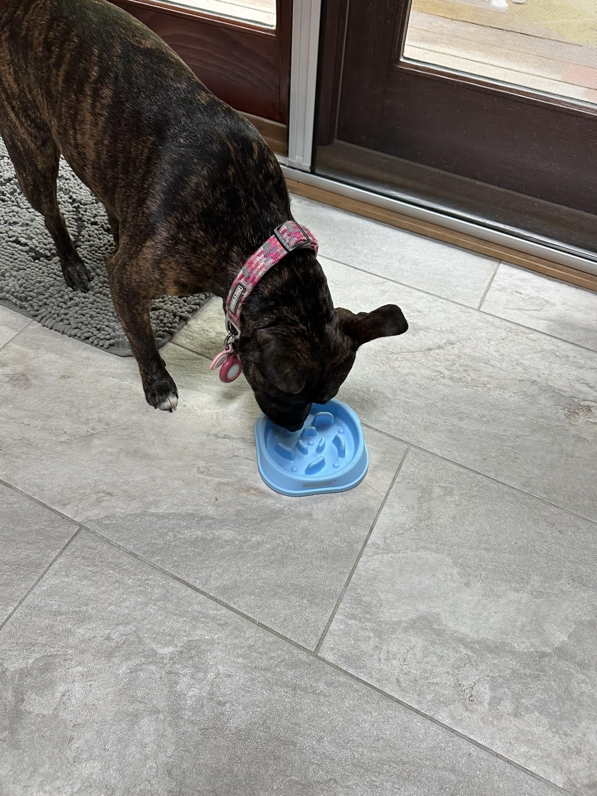 MateeyLife Slow Feeder Dog Bowls 2PCS, Anti-Choking Puzzle Dog Food Bowls, Anti-Slip Interactive Feeding Slow Down Eating, Bloat Stop Maze Dishes for Medium Breeds customer photo 2
