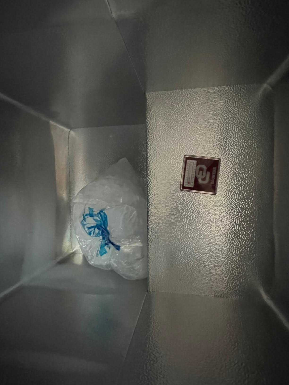 Igloo 5.0 Cu Ft Upright Deep Freezer with Quick Freezing System, White customer photo 1