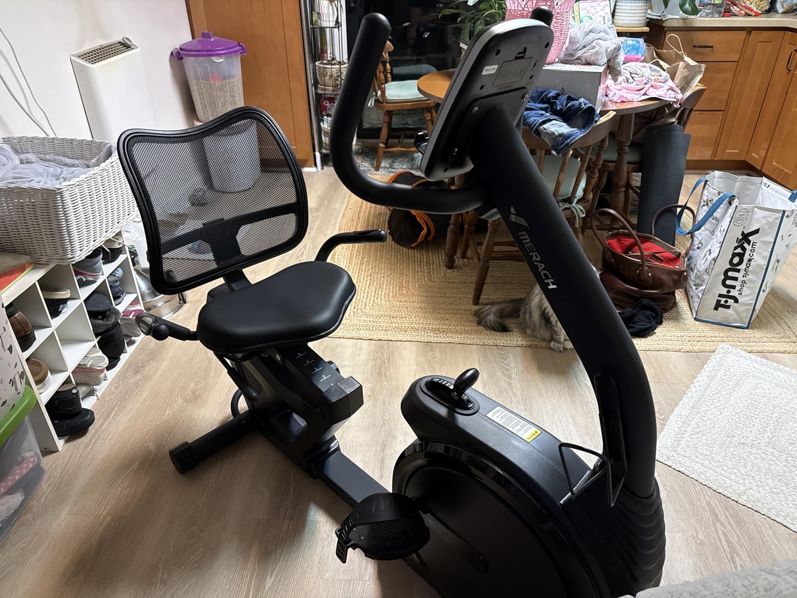 MERACH Recumbent Exercise Bikes for Home, Light Commercial High-end Recumbent Bike for Seniors Adults, Magnetic Recumbent Exercise Bike with Smart Bluetooth and Exclusive App, LCD, Heart Rate Handle customer photo 2