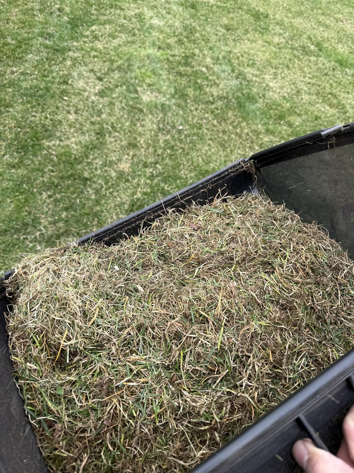 2-in-1 Dethatcher & 16-Inch Scarifier Electric Corded, 15 Amp Copper Motor, Electric Lawn Dethatcher with 5-Position Depth Adjustment, 14.5 gal Thatch Bag, Walk Behind for Yard Lawn Garden Care customer photo 2