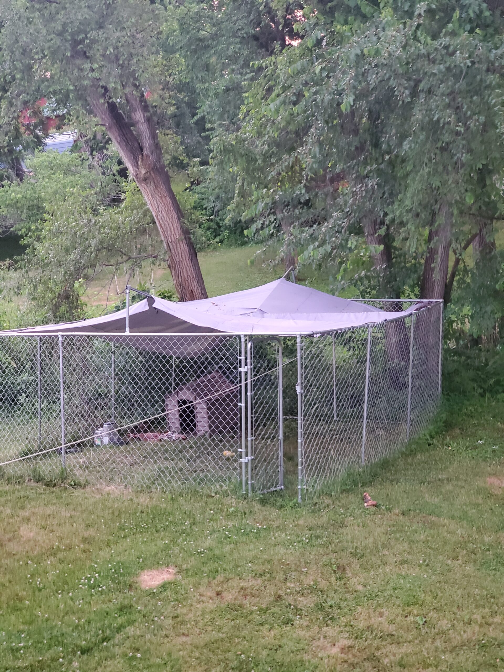 PawHut Outdoor Dog Kennel, Heavy Duty Dog Run Outdoor Fence with Waterproof Cover, Galvanized Chain Link, Secure Lock, for Large Sized Breeds, 20' x 7.5' x 5' customer photo 2