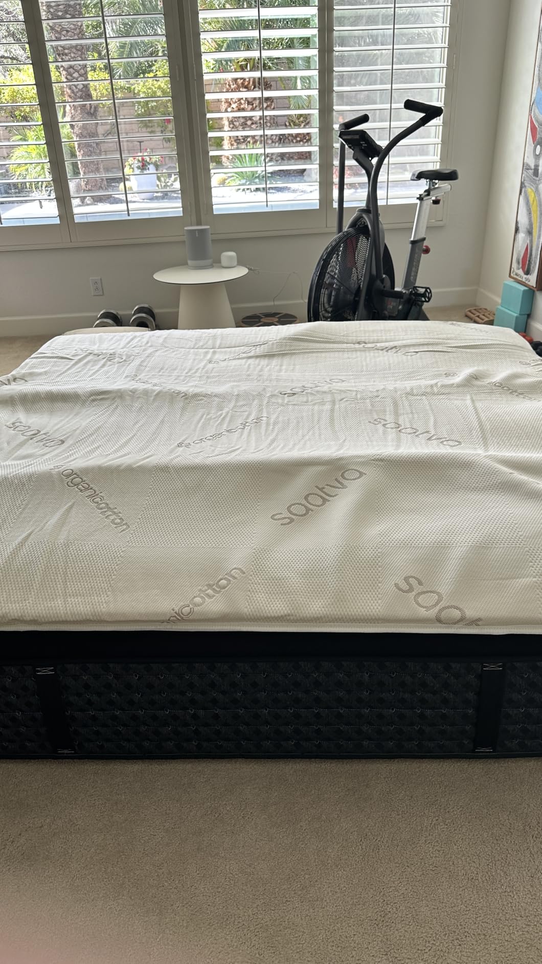 Saatva Natural Latex Mattress Topper - 1.5 Inch Layer of Natural Latex Foam - Breathable Comfort & Durable, Responsive Support - Queen customer photo 1