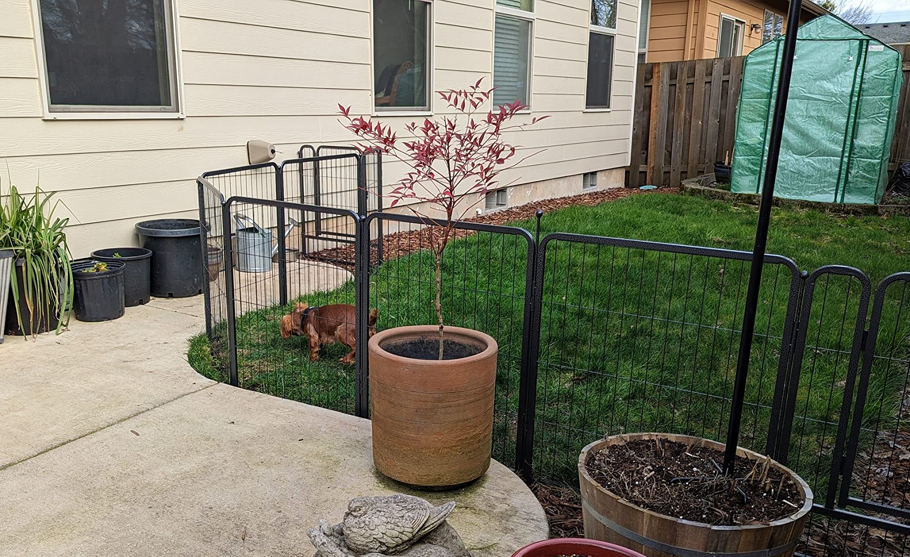 Mr IRONSTONE Dog Playpen with Anti-Rust Coating - 32 inch Height 16 Panels Portable & Foldable Indoor/Outdoor Pet Fence customer photo 2