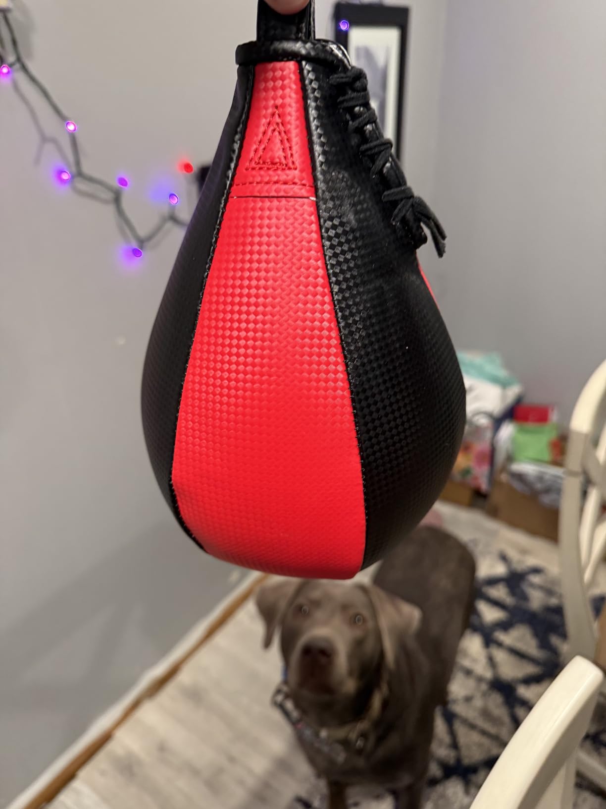 Speed Bag, Speed Bag for Boxing, PU Leather Reflex Training Pear Shaped Punching Bag, Fast Reaction Skills Development Perfect for Kids Teens Adults Boxing Coaches customer photo 1