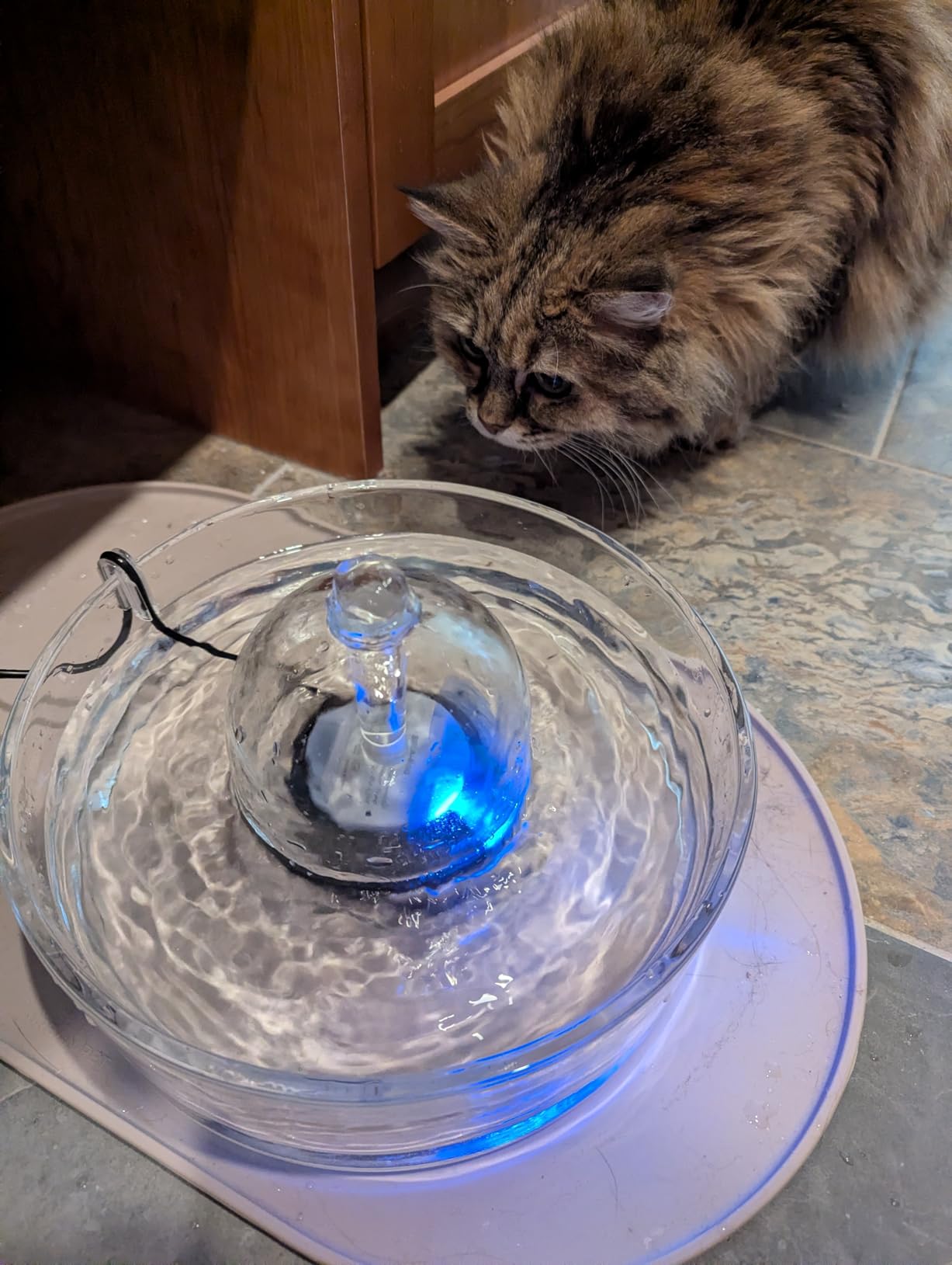 Brook Glass Pet Fountain (90oz/2.7L) - Cat & Dog Water Fountain - Glass Cat Fountain & Automatic Water Dispenser for Drinking customer photo 1