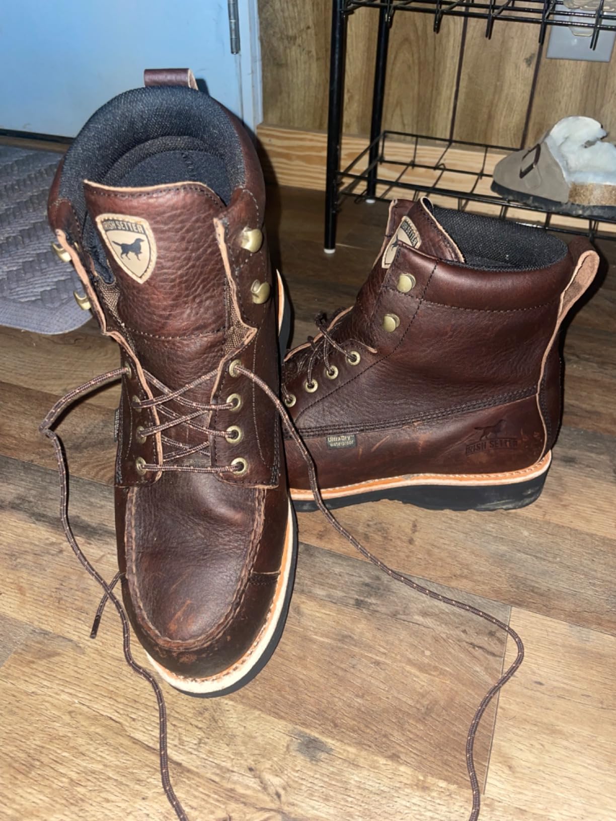 Wingshooter, Men's 7