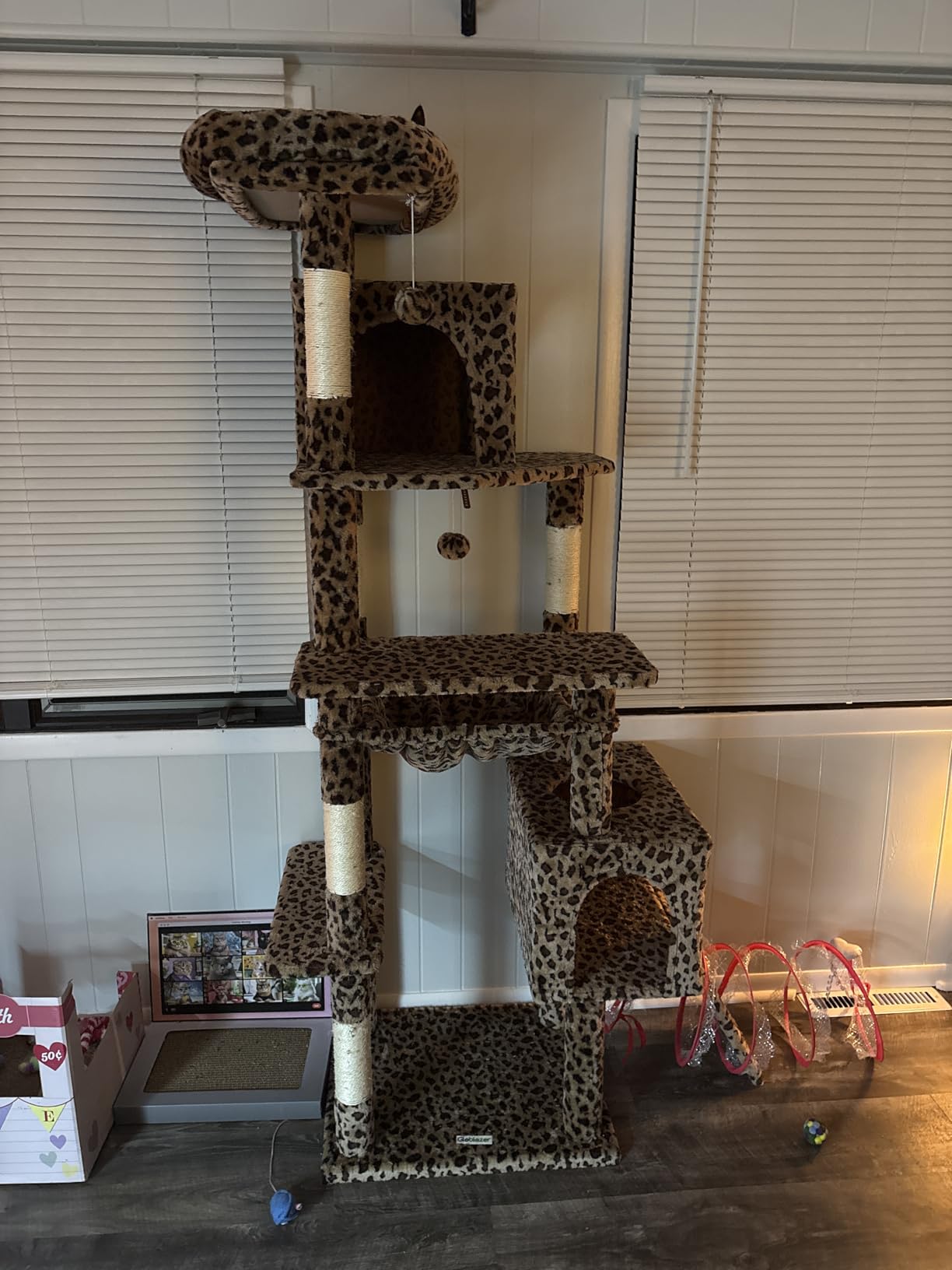 Globlazer Heavy Duty Cat Tree, 70 inch Sturdy Cat Tree for Indoor Cats Extra Large Cat Tower with Scratching Post, Hammock, Cat Condo for Adult Cats Kittens, F70 Pro, Light Grey customer photo 1