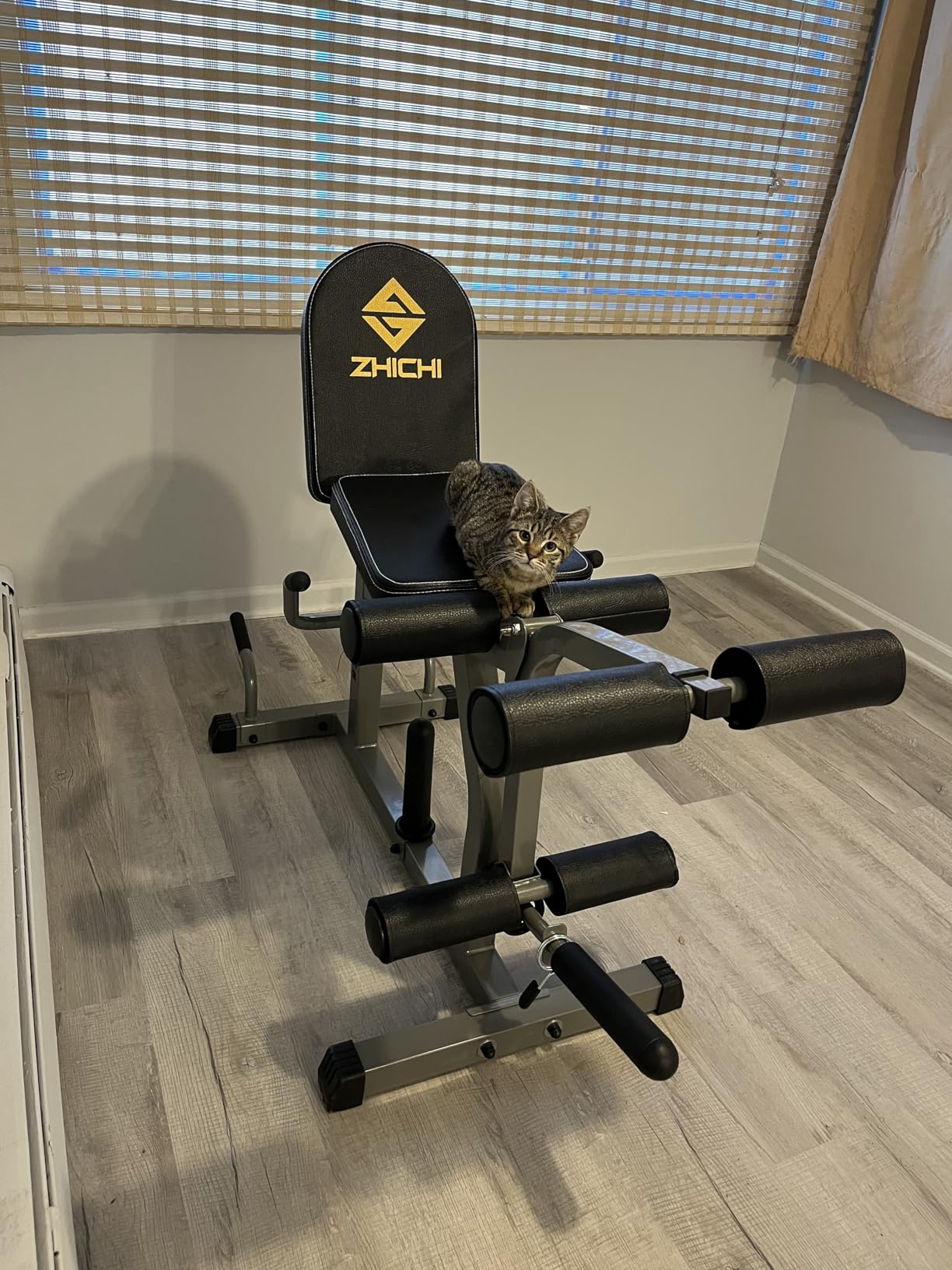 Z ZHICHI 2-in-1 Adjustable Leg Extension and Curl Machine, Easy Transition, Home Gym Leg Machine, Weight Capacity 660LBS customer photo 2