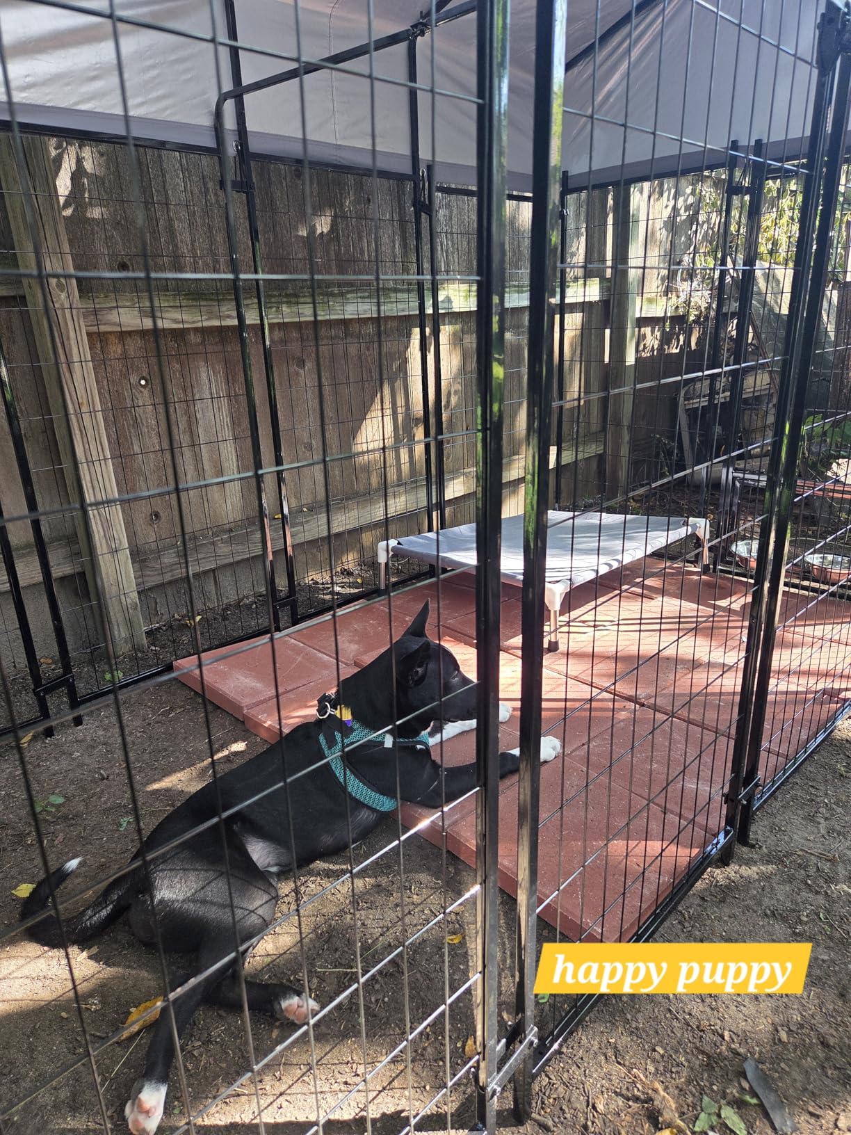Oranland 8x4x6FT Outdoor Dog Kennel, Heavy Duty Welded Wire Steel Dog Kennel with Secure Lock for Outside, Upgraded Heat Dissipation & Heat-Reflective Silver Waterproof Roof with 2 Rotating Dog Bowls customer photo 2