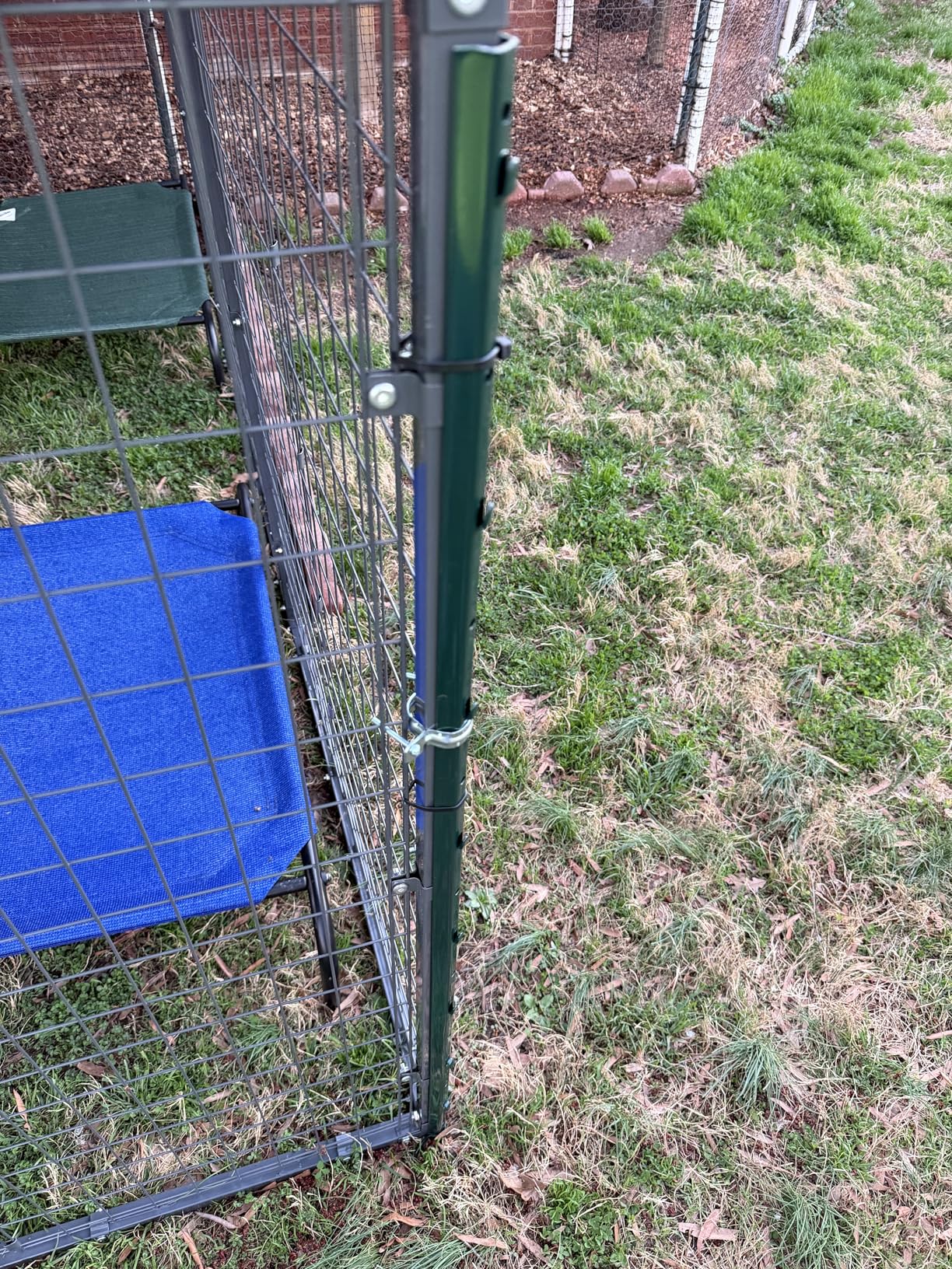 Kullavik 10x10x6 Ft Large Outdoor Dog Kennel, Anti-Rust Galvanized Steel Dog Pen with Double Locks, Heavy Duty Dog Enclosure Fence with UV & Water Resistant Roof Cover customer photo 1
