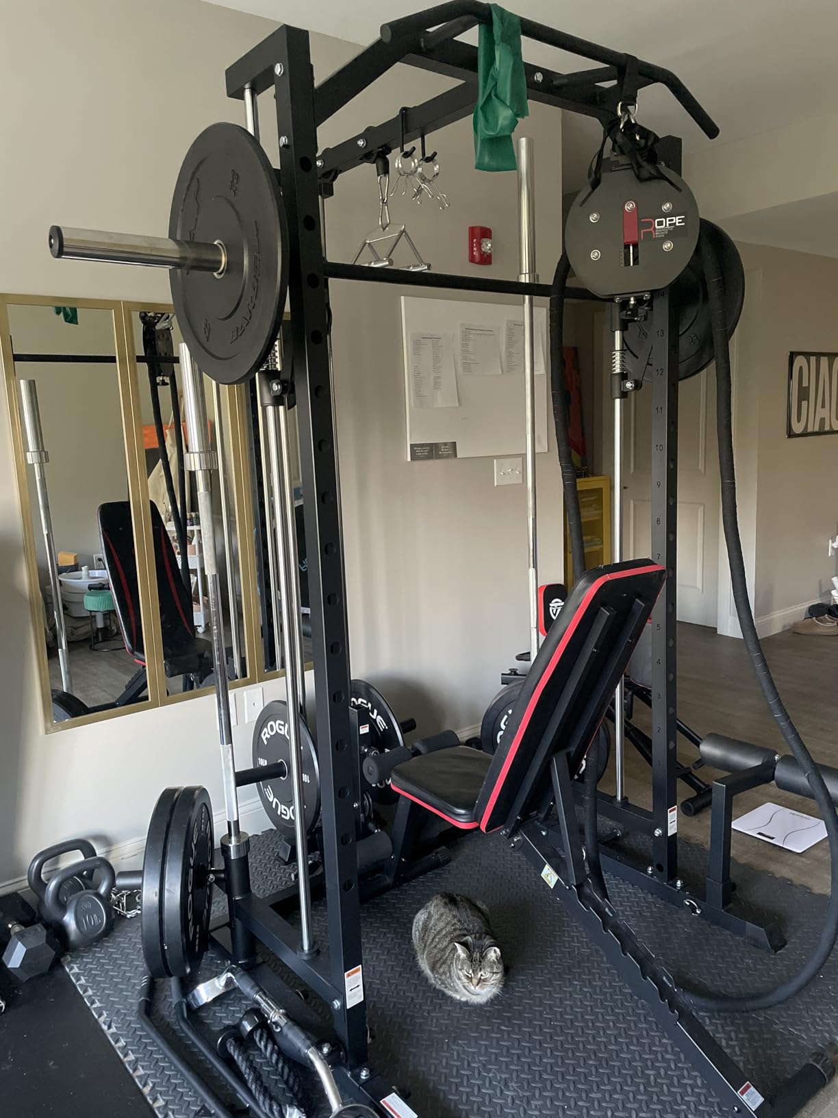 Smith Machine Home Gym Power Cage (1:1 Ratio Strength Trainer) (Space Saving Design) (with 8 Free Attachments) Squat Rack for Full Body Training customer photo 1