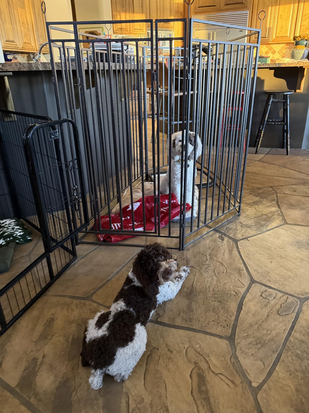 Dog Fence Outdoor Indoor, 40
