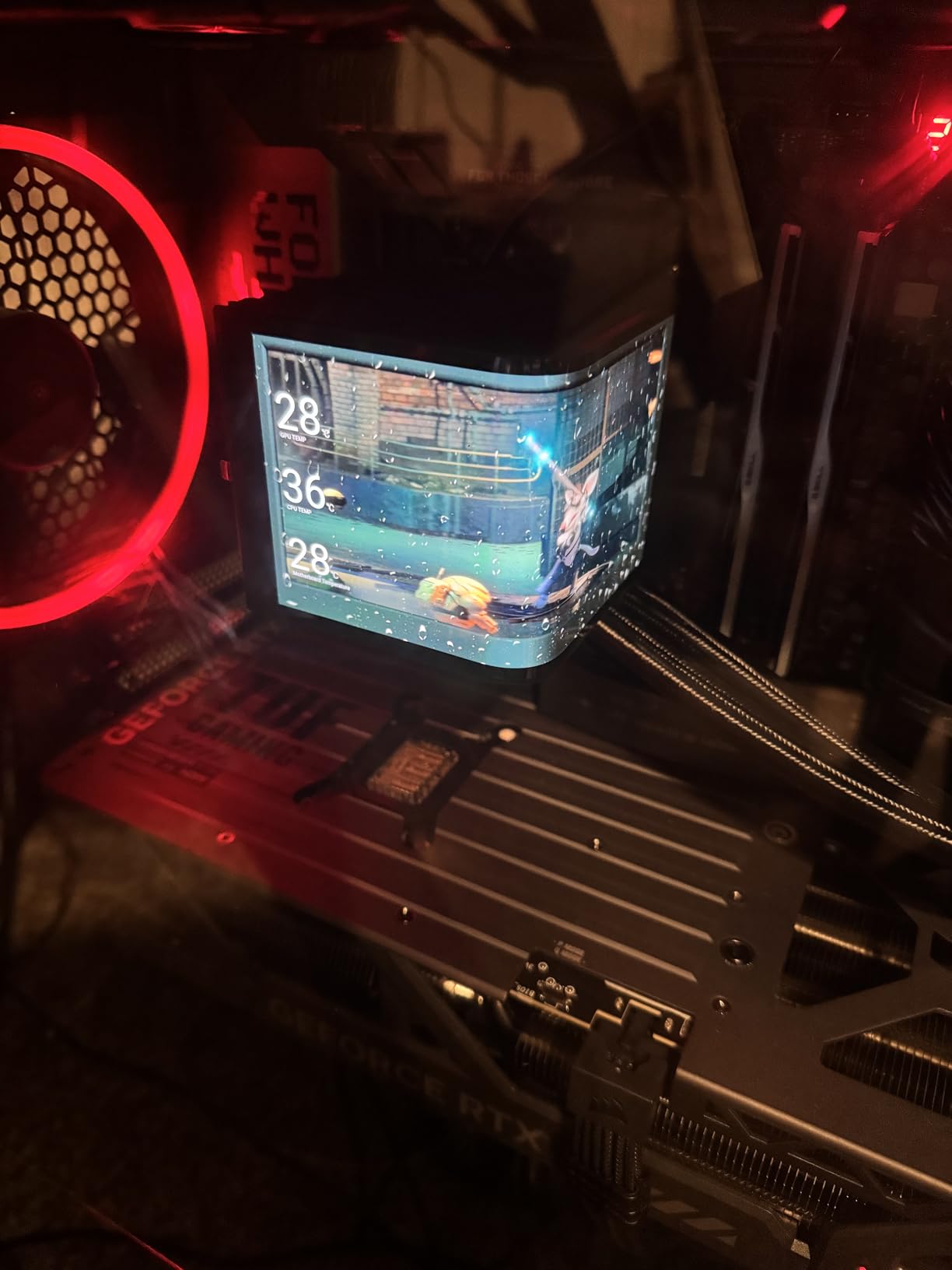 ASUS TUF GeForce RTX 5080 16GB GDDR7 OC Edition Graphics Card, NVIDIA, Desktop (PCIe 5.0, HDMI/DP 2.1, 3.6-Slot, Military-Grade Components, Protective PCB Coating, Axial-tech Fans, Vapor Chamber) customer photo 1