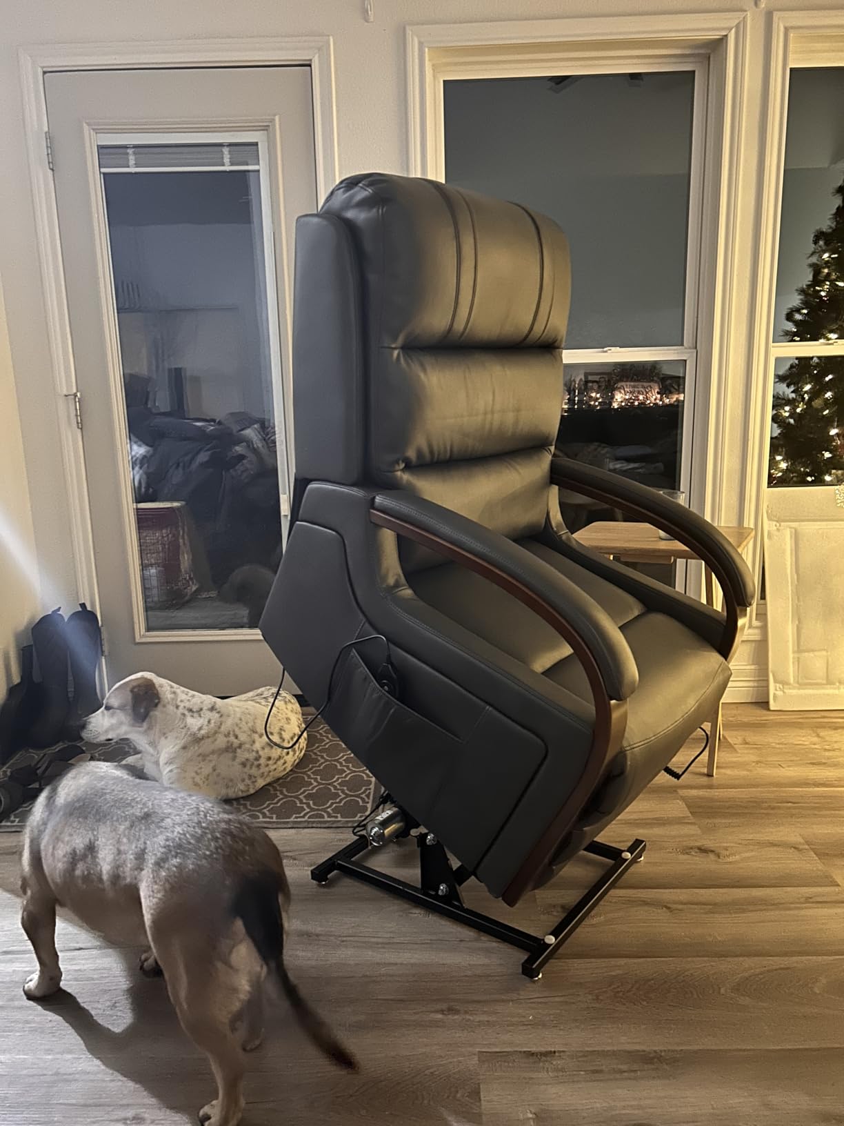 Trustyue Dual Motor Power Lift Recliner Chair, Lift Chair with Massage and Heat for Elderly, Lay Flat Recliner, Standing Assistance, Infinite Position Reclining, Living Room Chair customer photo 1