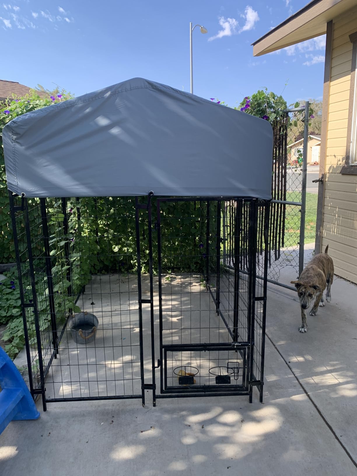 8x4x6 FT Outdoor Dog Kennels for Large Dogs, Heavy Duty Welded Wire Steel Outside Dog Kennel with Roof, Dog Pens with 2 Rotating Dog Bowls customer photo 2