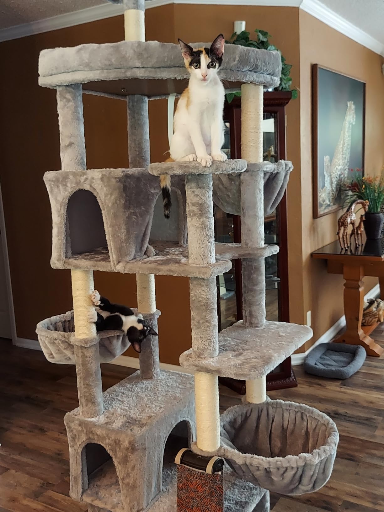 Globlazer Extra Large Cat Tower, 81-inch Tall Cat Tree for Big Cats 20 lbs, XXL Heavy Duty Cat Scratching Tower for Indoor Adult Cats with 3 Cat Condos, 8 Scratching Posts, F81, Dark Grey customer photo 2