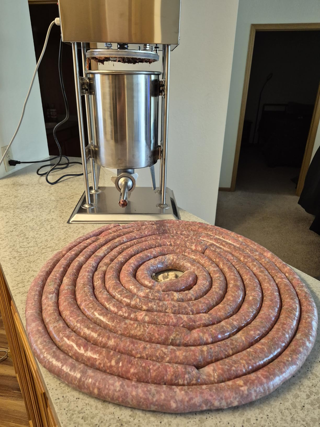 ROVSUN Electric Sausage Stuffer 15.4LBS/10L, Stainless Steel Sausage Maker Machine with Adjustable Speed & 5 Stuffing Tubes, Heavy Duty Vertical Sausage Filling Maker for Commercial and Home Use customer photo 1