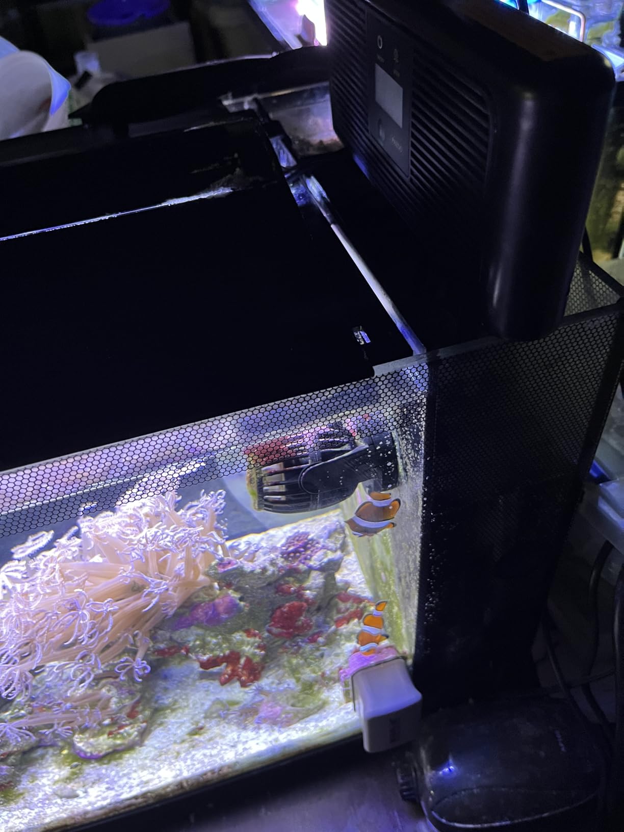 PAIZOO Aquarium Chiller Fan, Auto Temperature Control Fish Tank Cooler Aquarium Fan with Temperature Probe, LCD Display, 3 Speed Modes Axolotl Tank Cooler, 8.5-in, 6.4W customer photo 2