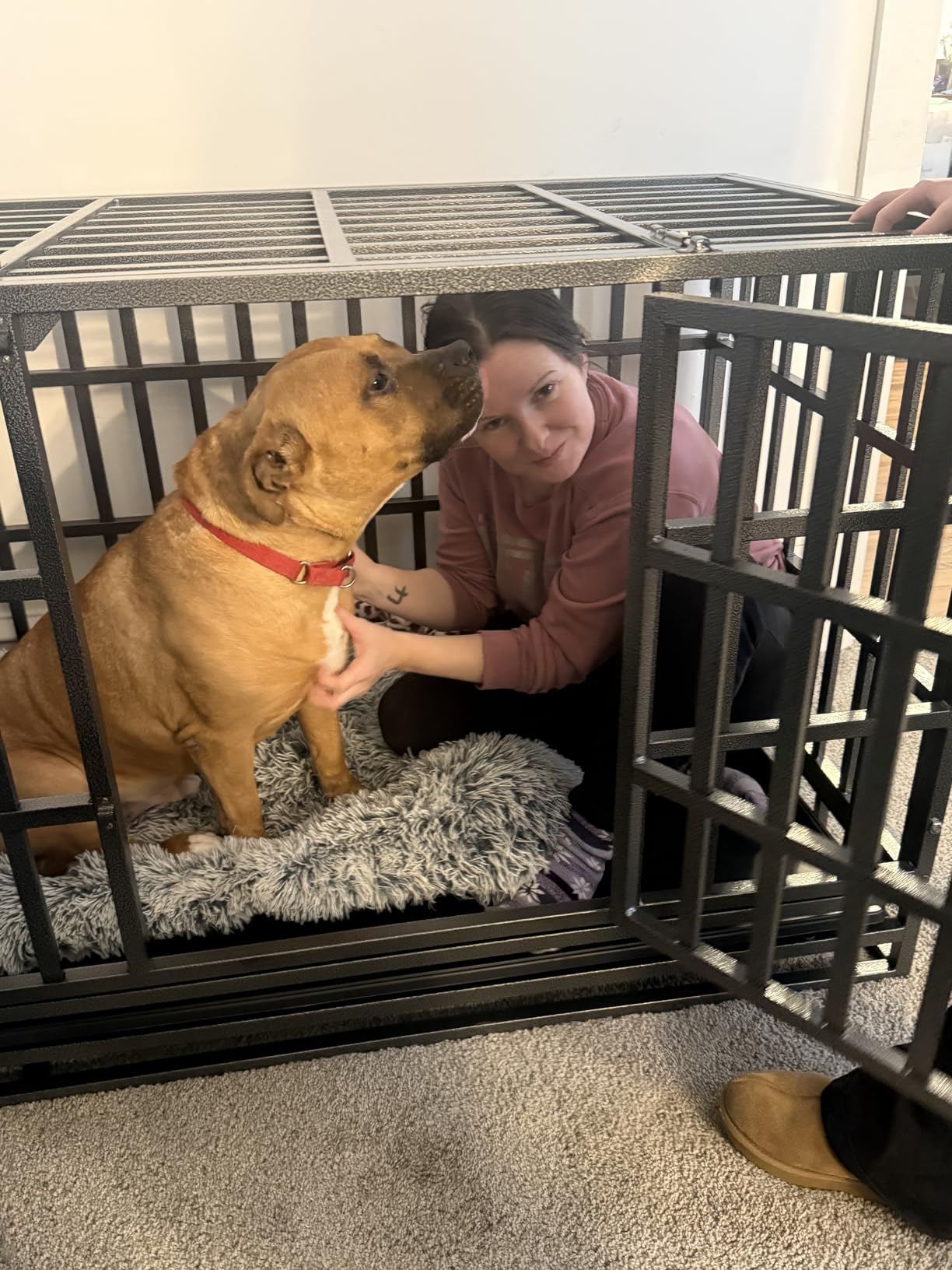 54 inch Heavy Duty Indestructible and Escape-Proof Dog Crate Cage Kennel for 1 XL or 2 Medium Dogs, Divider Panel, Removable Tray & Wheels, for High-Anxiety Dogs, Extra Large XL (Black) customer photo 2