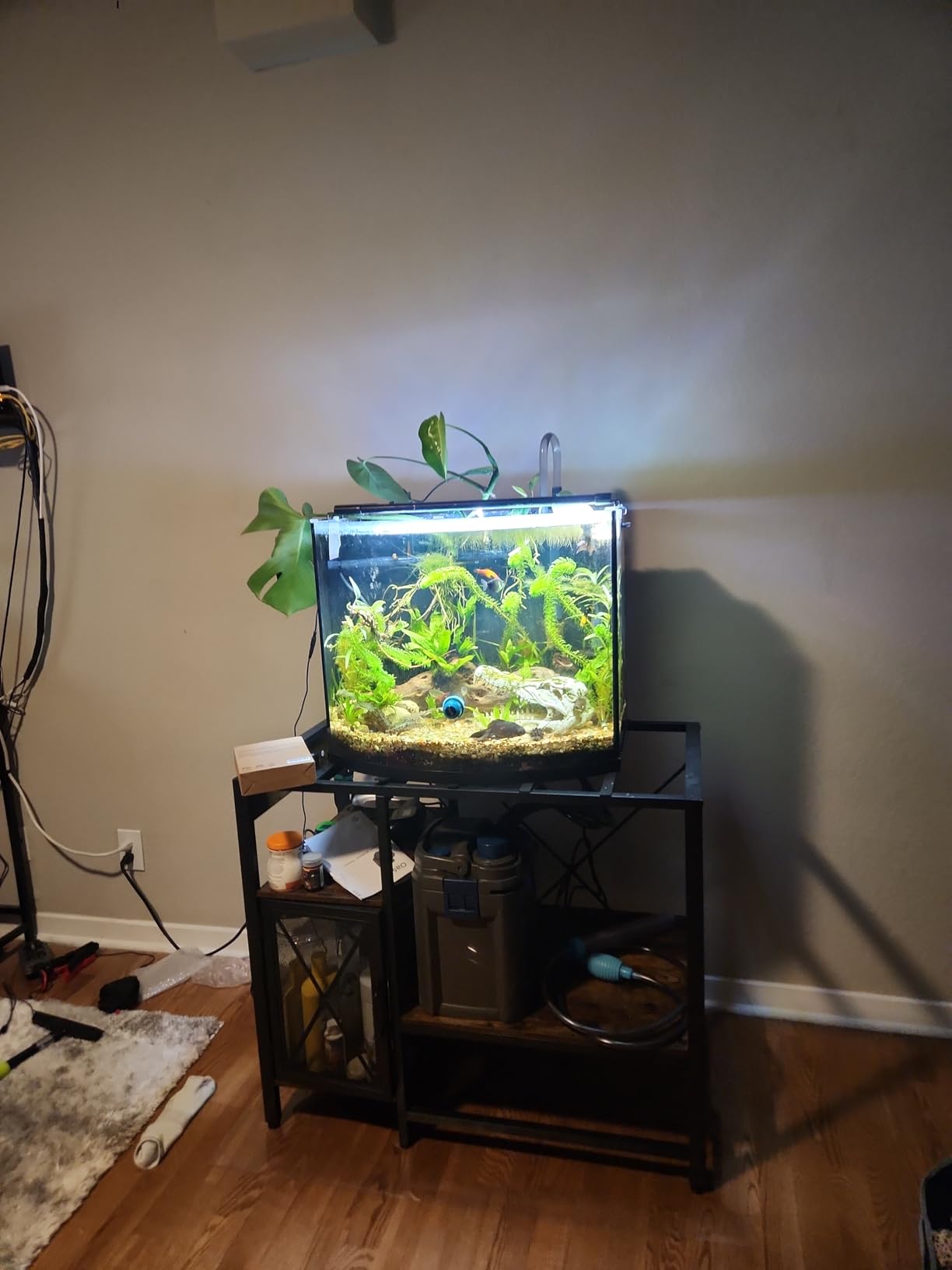 OASE BioMaster 2 350 Canister Filter for Aquariums - External Aquarium Filter with EasyClean Pre-Filter customer photo 1