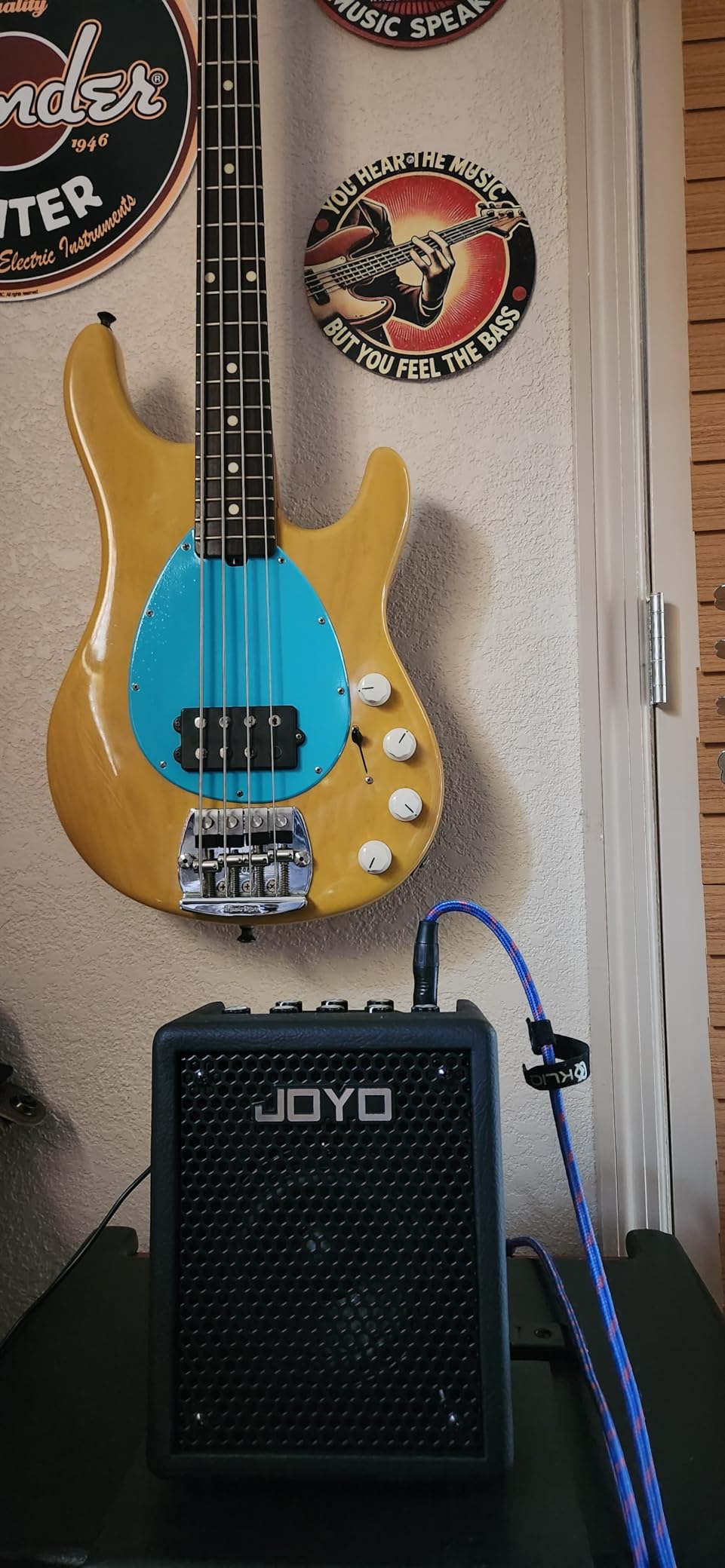 JOYO 30W Bass Amp Portable Combo Amplifier 4