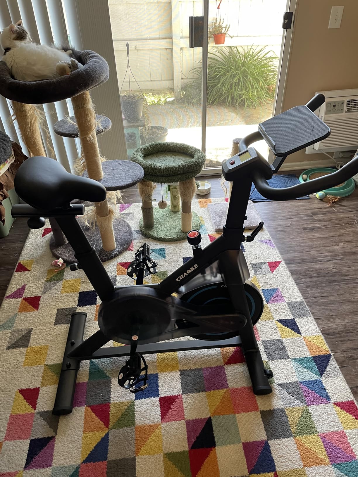 CHAOKE Quiet Adjustable Magnetic Resistance Stationary Bike for Home Cardio with App Compatible, 350LB Weight Capacity Indoor Cycling Bike with Comfortable Seat & Digital Display customer photo 1