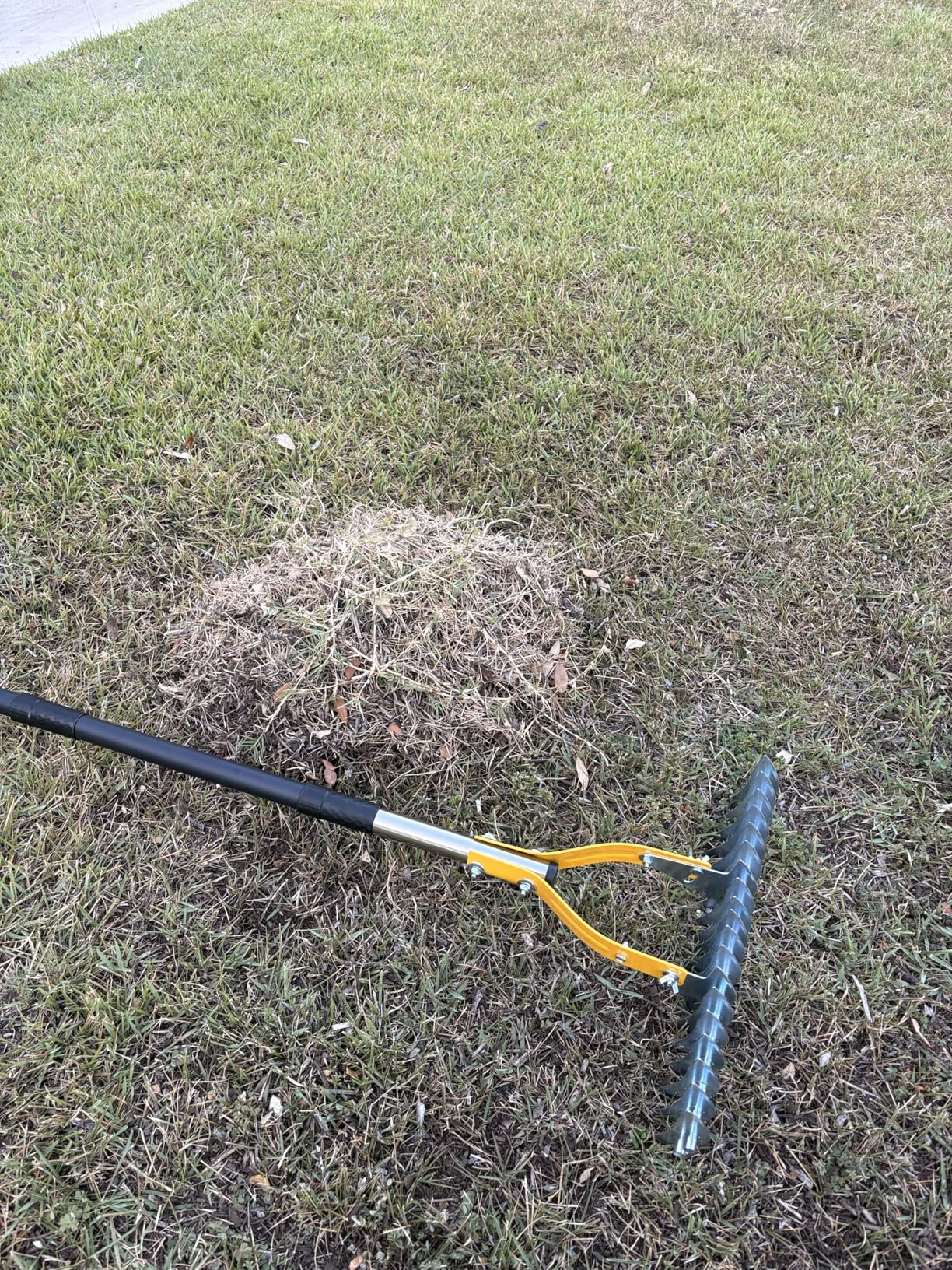 Thatch Rake for Lawn with 74inch Handle, 15 inch Dethatcher Rake for Grass to Cleaning Dead Grass, Efficient Steel Metal Rake for Dethatching, Heavy Duty Thatching Rakes for Garden, Yard customer photo 2