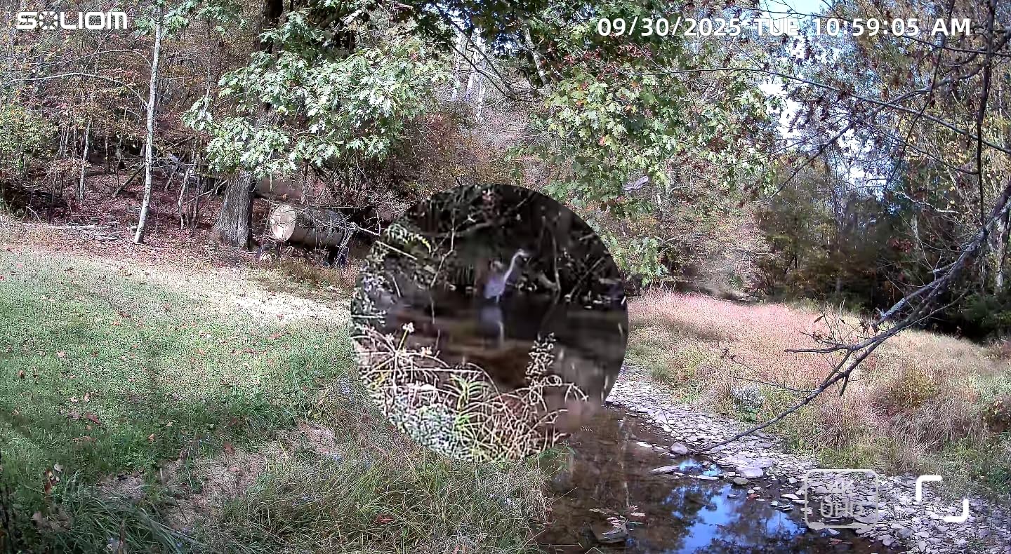 SOLIOM Security Cameras Wireless Outdoor,4K Ultra HD for Day and Night, No Subscription,Built in Radar,Solar Powered Cameras for Home Security, 360° Pan Tilt Auto Tracking,5G & 2.4G WiFi, 4-Cam Kit customer photo 1
