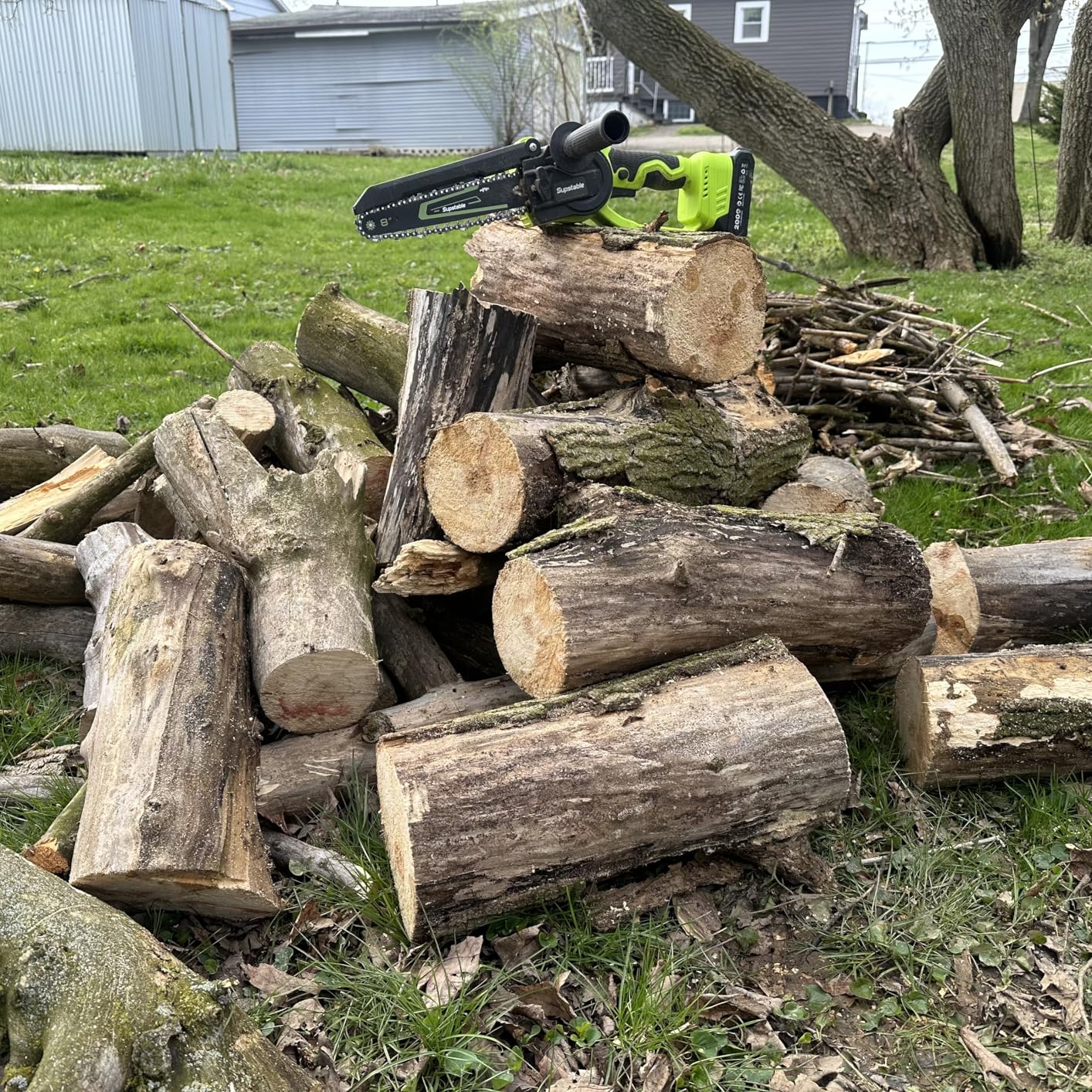Electric Pole Saws for Tree Trimming, 8 Inch & 6 Inch Mini Chainsaw Cordless with Extension Pole, 16Ft Reach, 2x4.0Ah Battery, Auto Oiling, Tool-Free Chain Tensioning, Tree Trimmer for Branch Limb Cut customer photo 1
