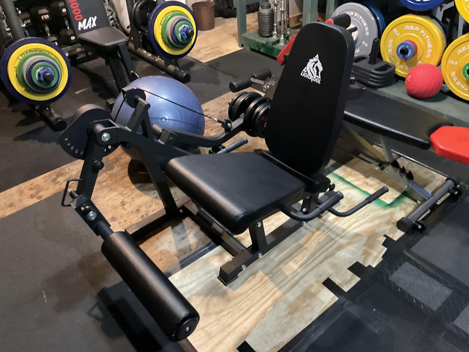 LIONSCOOL Leg Extension and Curl Machine V4.0, 800lbs Capacity Adjustable Seated Leg Extension, Lying Leg Curl Bench, Cable Operated 2