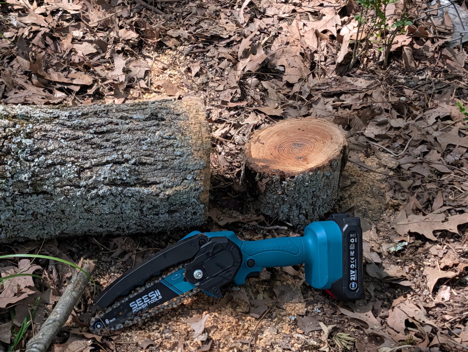 SEESII Electric Chainsaw Cordless 12-inch, Handheld Chain Saws with 2 x 4.0Ah Battery, Tool-free Chain Tension, Auto Oiling for Wood Cutting Trimming Branch customer photo 1